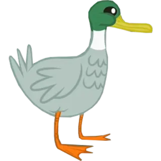 🙂 f30af88d pato, pato-real, pássaro, ave aquática, animal telegram sticker