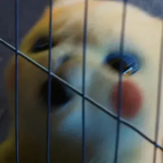 😱 34a6b675 Pikachu 피카츄, 포켓몬, 애니메이션, 캐릭터, 노란색 telegram sticker