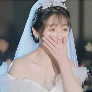 🙊 947550a3 sposa, matrimonio, abito, lacrime, emozionale, asiatica, donna whatsapp sticker