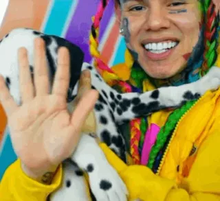 🧑‍🎤 96262fd6 Tekashi 6ix9ine rapero, música, perro telegram sticker