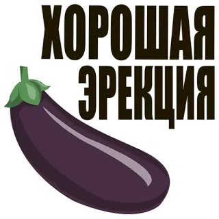 😂 94ed54d6 ХОРОШАЯ
ЭРЕКЦИЯ eggplant, russian text, joke, meme whatsapp sticker