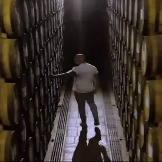 🤯 d91b7d23 Fässer, Keller, Lagerung, Lagerhaus, Reifung, Wein, Alkohol telegram sticker