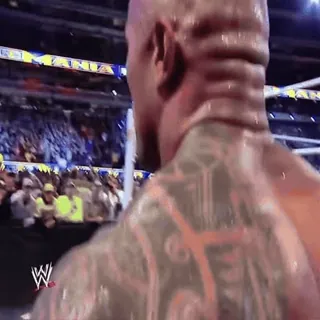 🤯 dcc4e363 Wrestling, WWE, Publikum, Sport, Unterhaltung telegram sticker