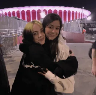 🌊 28793862 Billie Eilish Billie Eilish, penyanyi, selebriti, penggemar, peluk, persahabatan whatsapp sticker