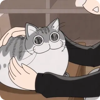 🌟 1acfc623 cat, cute, animal, pet, happy telegram sticker