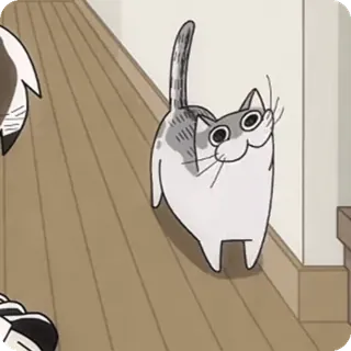 🌟 36c07bcb cat, cute, animal, cartoon, walking telegram sticker