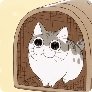 🌟 97cf498e cat, cute, animal, anime, cartoon, pet telegram sticker