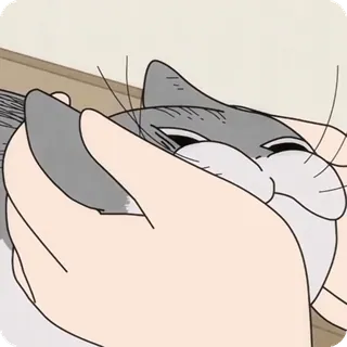 🌟 c17371fb cat, pet, cute, hand, animal telegram sticker