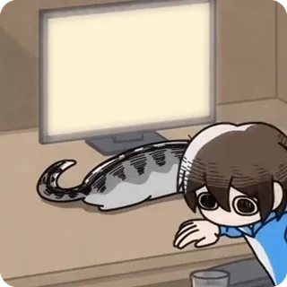 🌟 e3fca2e9 cat, anime, computer, pet, animal telegram sticker
