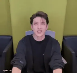 ☺️ fa4e03d8 @SKZ_GIF whatsapp sticker