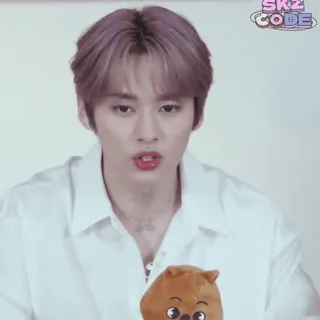 🥢 978105b7 SKZ CODE SKZ Code, Stray Kids, divertissement, Idole, Kpop, Musique telegram sticker