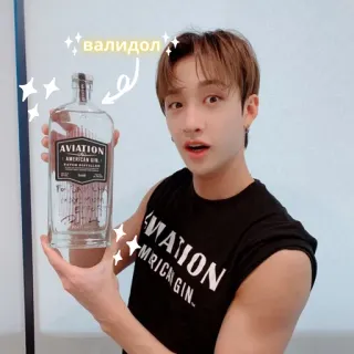 skz describes our lives telegram stickers