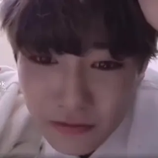 🥺 4e19e627 telegram sticker