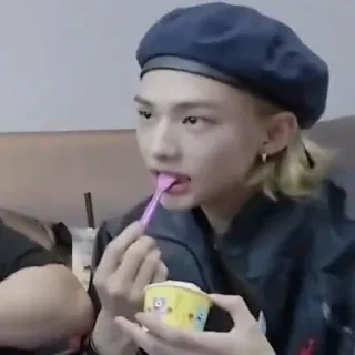 skz describes our lives whatsapp stickers