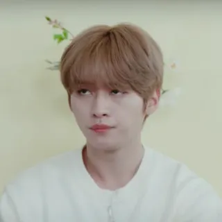 skz describes our lives whatsapp stickers