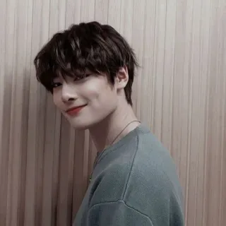 💫 354083d7 chân dung, người, đàn ông, kpop, thần tượng, nụ cười telegram sticker