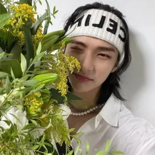 💫 9c35ddc0 CELINE người đàn ông, băng đô, hoa, áo sơ mi trắng, dây chuyền ngọc trai, selfie, chân dung telegram sticker