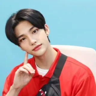 💫 b9387d8b telegram sticker