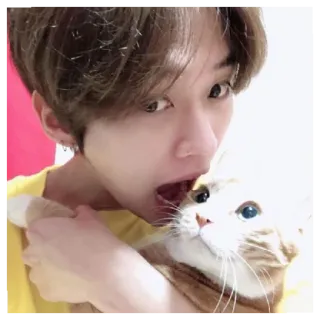 👹 1cfea556 mèo, selfie, người, thú cưng, vật nuôi, trong nhà whatsapp sticker