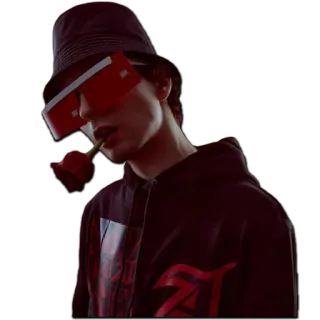 🌹 13d31a5f telegram sticker