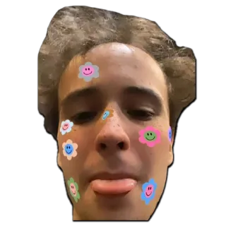 😛 787d42d0 twarz, naklejka, kwiaty, język, zabawa telegram sticker