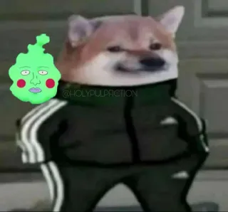 😐 065711e1 доге, собака, моб психо 100, моб, аниме, собака в трениках, слав telegram sticker