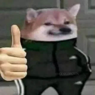 👍 1fd45ca8 Doge собака, большой палец вверх, мем, Чимс, Доге, животное, интернет telegram sticker