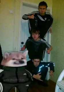 😏 2047c711 собака, присед, мем, русский, спорт, славяне telegram sticker