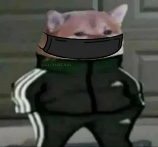 😐 2fefd859 собака, спортивный костюм, Adidas, мем, смешной telegram sticker