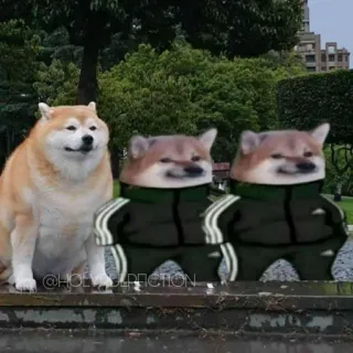 Slav Cheems | @HolyPulpFiction whatsapp stickers