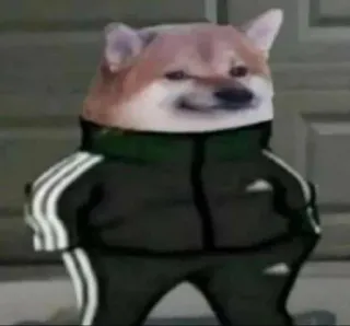 Slav Cheems | @HolyPulpFiction telegram stickers