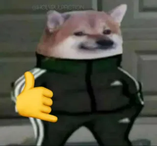 🤙 ddd020d6 собака, мем, позвони мне, спортивный костюм telegram sticker