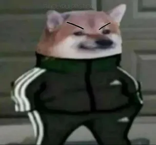 😠 e352658b doge, собака, adidas, спортивный костюм, мем, злой telegram sticker