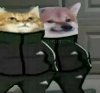 😐 f7d9f58a животные, кот, собака, смешно, мем, спортивный костюм, adidas telegram sticker