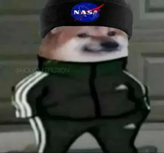 Slav Cheems | @HolyPulpFiction telegram stickers