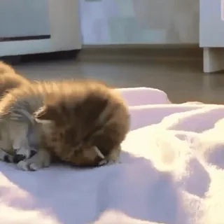 ˗ˋ ୨ @sleeplessnight ୧ ˊ˗ :: @fStikBot whatsapp stickers