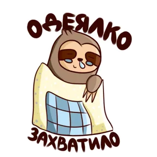 🤗 53bd034a Одеялко захватило sloth, cute, blanket, lazy, sleepy whatsapp sticker