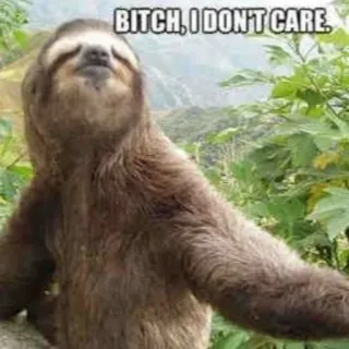 😒 3cd74346 BITCH, I DON'T CARE. perezoso, meme, gracioso, actitud, sarcástico, ofensivo, me da igual telegram sticker