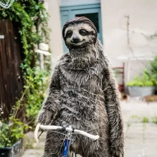 😐 b3a117db perezoso, animal, disfraz, bici, bicicleta, gracioso, mono telegram sticker