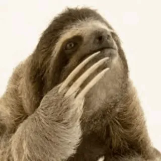 💤 19aef76f 树懒, 中指, 冒犯手势, 动物, 粗鲁, 搞笑 telegram sticker