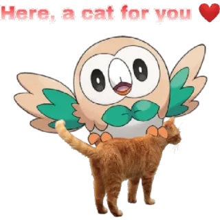 😁 bcd07792 Rowlet Here, a cat for you mèo, Pokémon, dễ thương, động vật, cú mèo, hoạt hình telegram sticker