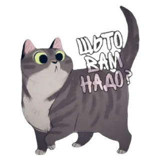 😁 0df8faaa ЧТО ВАМ НАДО? 猫, 动物, 贴纸, 问题, 灰色, 可爱 telegram sticker