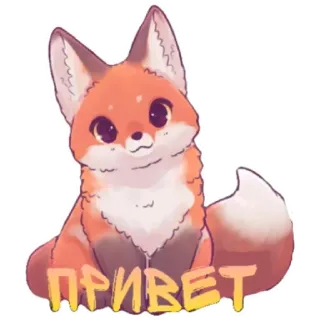 😁 8461cb07 ПРИВЕТ 狐狸, 动物, 可爱, 问候, 俄语, 你好 telegram sticker
