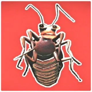 😁 6285914a kecoa, serangga, serangga, binatang, hama whatsapp sticker