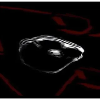 ⚪️ 0357f5f2 telegram sticker