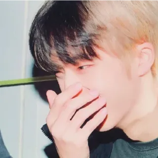 😁 e05dfb93 telegram sticker