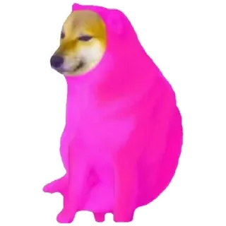 😁 28d6fcdb chien, mème, Cheems, animal, rose telegram sticker