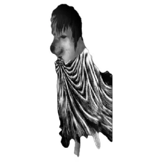 😁 3a692ee6 telegram sticker