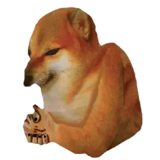 😁 d576d8fd doge, cheems, chien, mème, animal telegram sticker