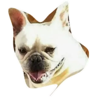 UP telegram stickers